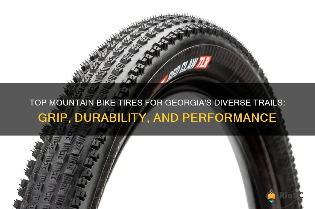 best mountain bike tires for georgia