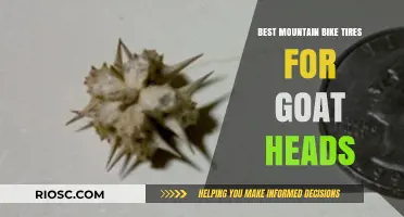 Toughest Mountain Bike Tires to Resist Goat Heads: Protect Your Ride on Thorny Trails