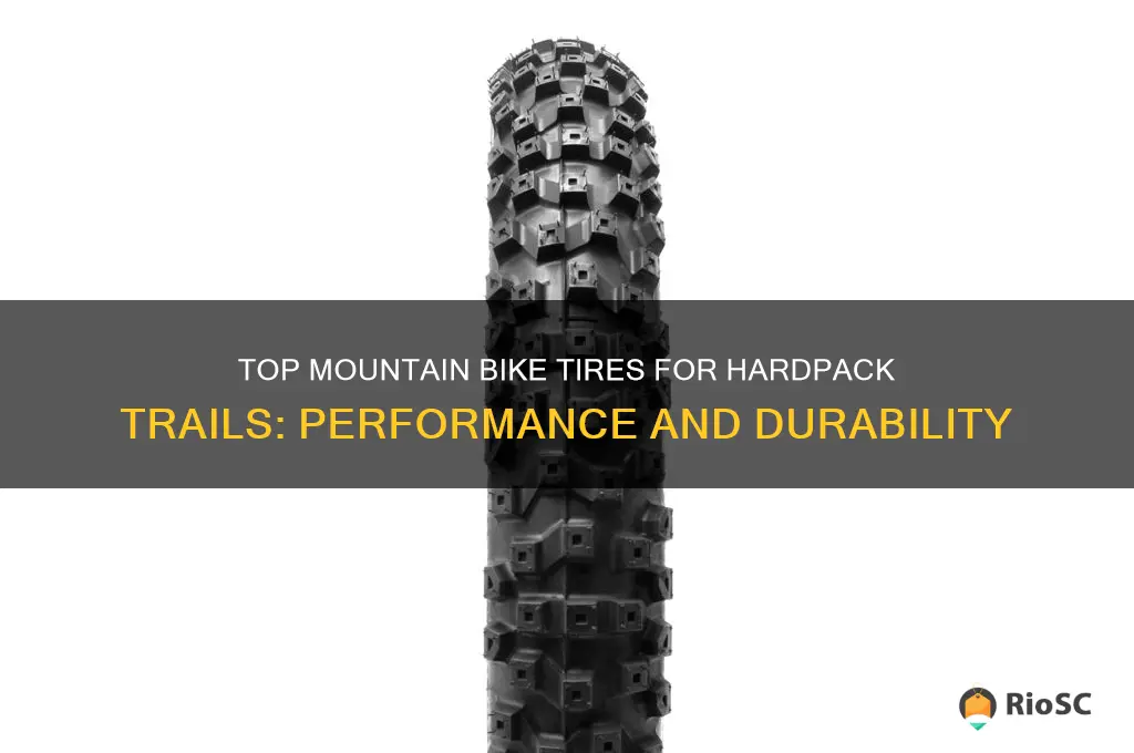 best mountain bike tires for hardpack