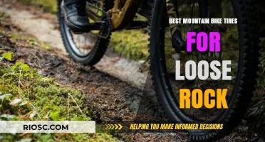 Top Mountain Bike Tires for Loose Rock: Grip, Durability, and Performance