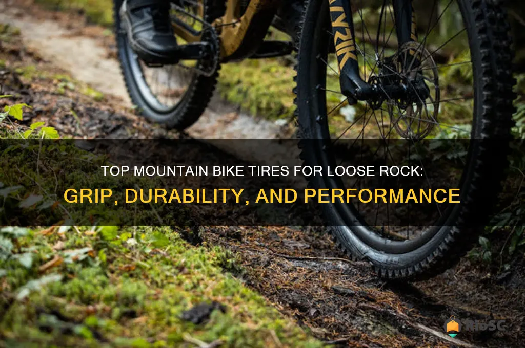 best mountain bike tires for loose rock