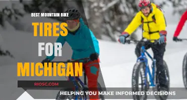 Top Mountain Bike Tires for Michigan's Diverse Trails and Weather Conditions