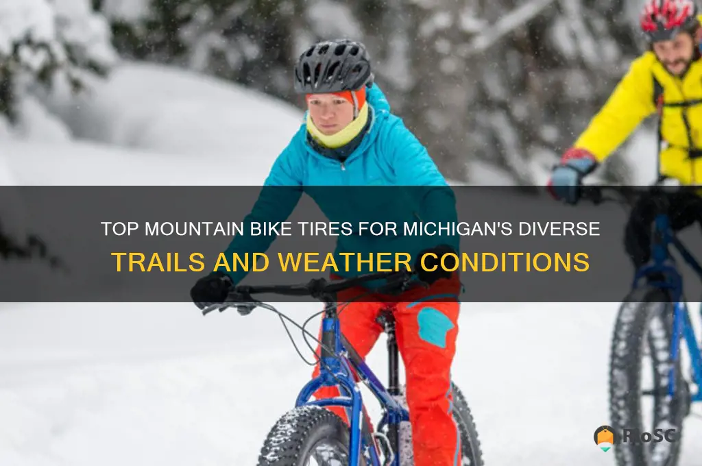 best mountain bike tires for michigan