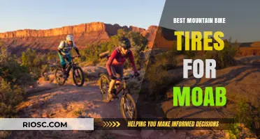 Conquer Moab's Trails: Top Mountain Bike Tires for Ultimate Performance and Grip