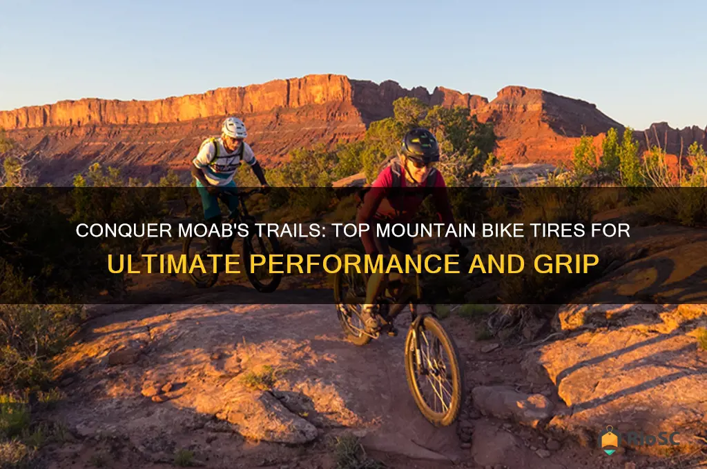 best mountain bike tires for moab