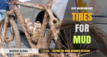 Conquer Muddy Trails: Top Mountain Bike Tires for Optimal Grip and Performance in Wet Conditions