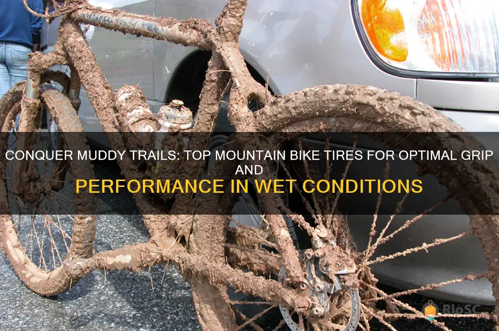 best mountain bike tires for mud