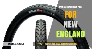 Top Mountain Bike Tires for New England's Rugged Trails and Varied Terrain