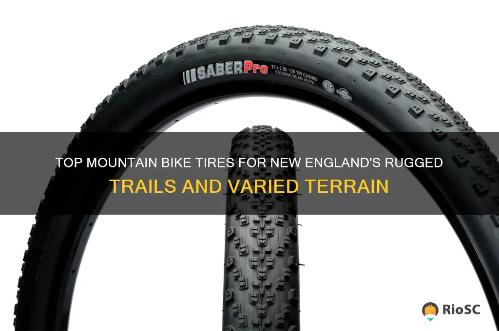 best mountain bike tires for new england