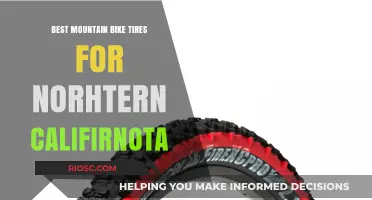 Top Mountain Bike Tires for Northern California's Diverse Terrain and Weather Conditions