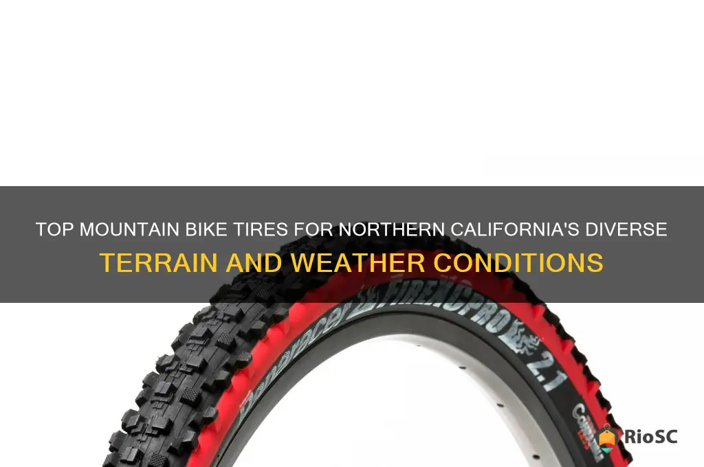 best mountain bike tires for norhtern califirnota