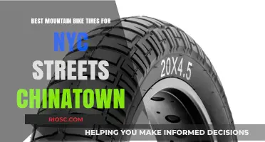 Urban-Ready Grip: Top Mountain Bike Tires for Navigating NYC's Chinatown Streets