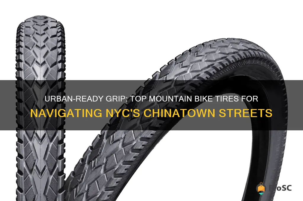 best mountain bike tires for nyc streets chinatown