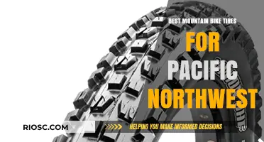 Top Mountain Bike Tires for Tackling the Pacific Northwest's Wet and Rugged Trails