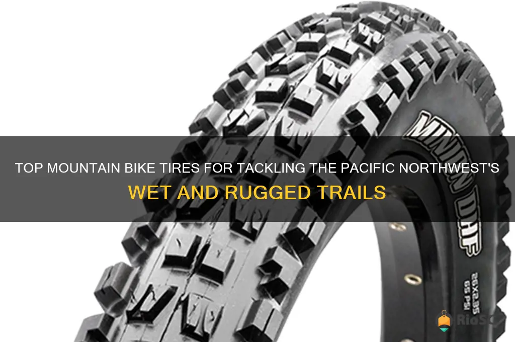 best mountain bike tires for pacific northwest