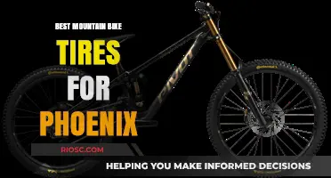 Top Mountain Bike Tires for Phoenix Trails: Durability, Traction, and Performance in the Desert