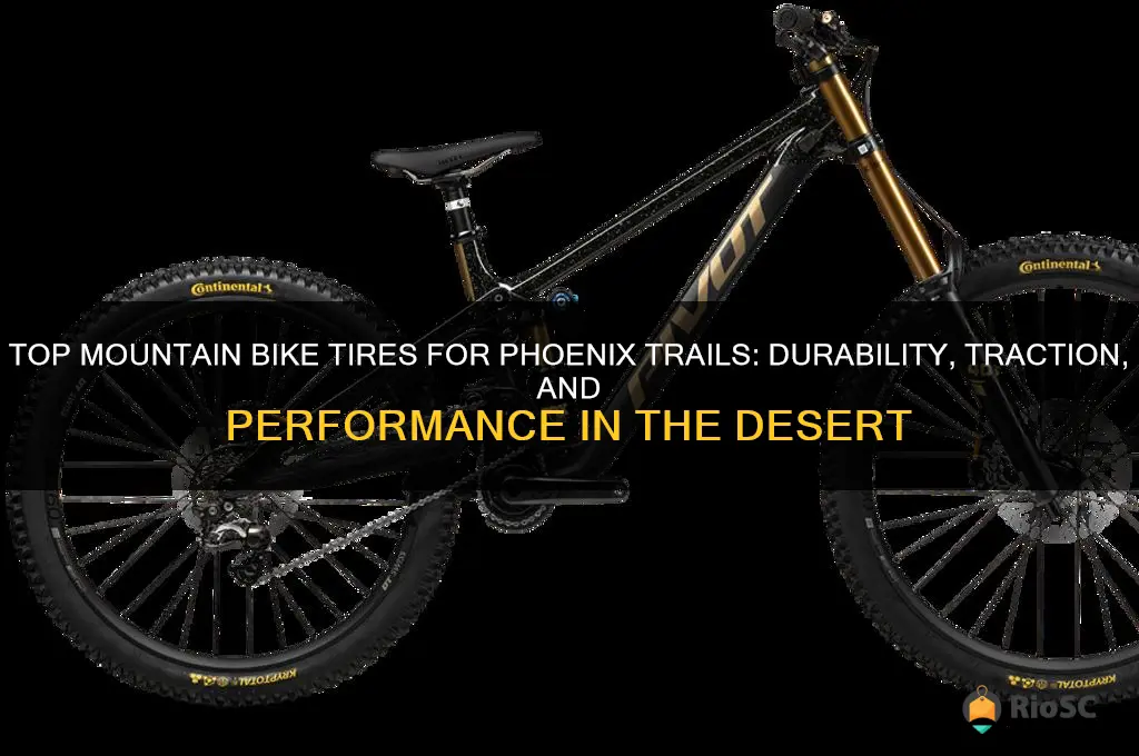 best mountain bike tires for phoenix
