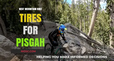 Top Mountain Bike Tires for Pisgah: Conquer the Trails with Confidence