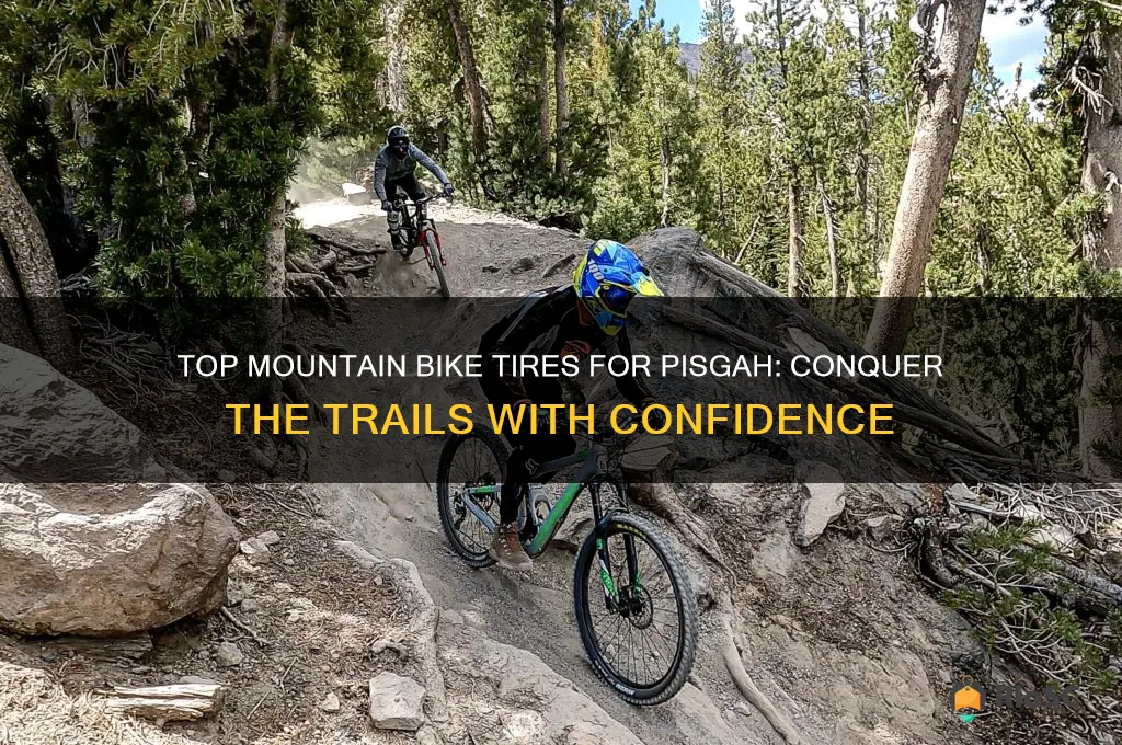 best mountain bike tires for pisgah