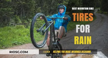 Top Mountain Bike Tires for Rainy Conditions: Stay Gripped and Safe on Wet Trails