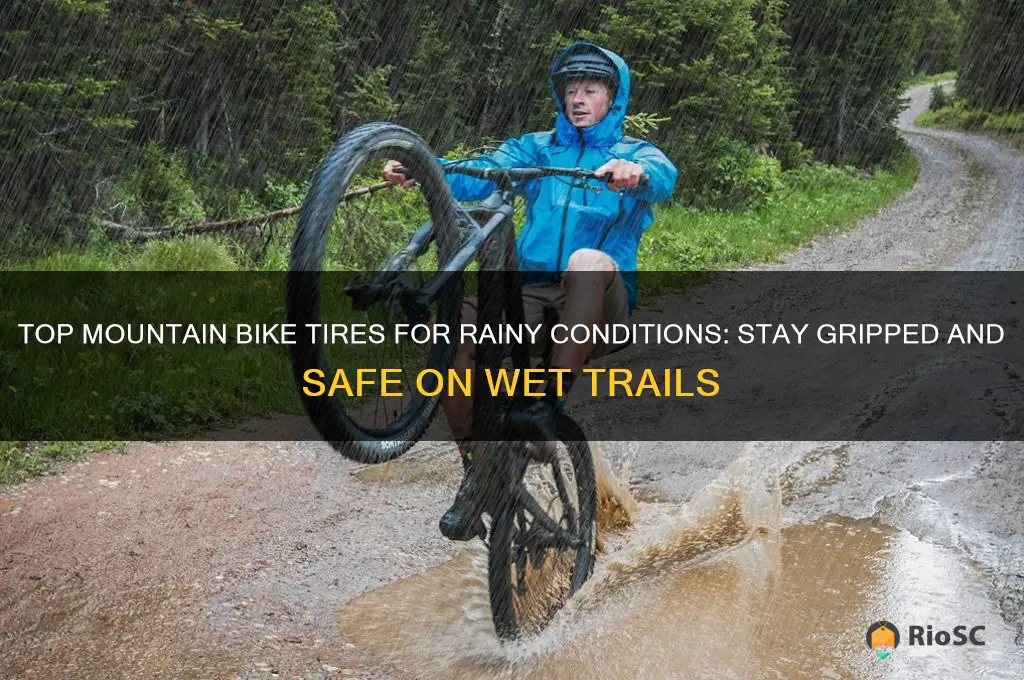 best mountain bike tires for rain