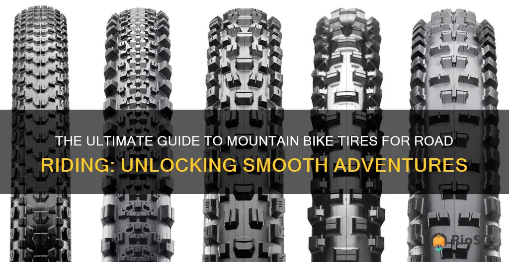 best mountain bike tires for road