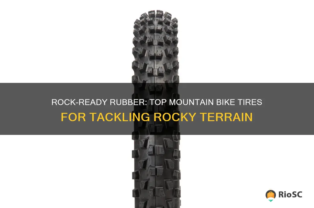best mountain bike tires for rocks