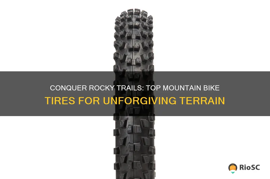 best mountain bike tires for rocky terrain