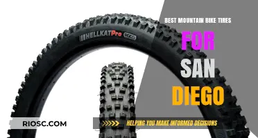 Top Mountain Bike Tires for San Diego's Diverse Trails and Terrain