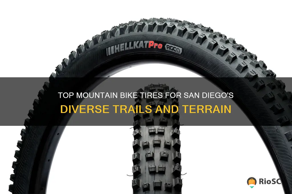 best mountain bike tires for san diego