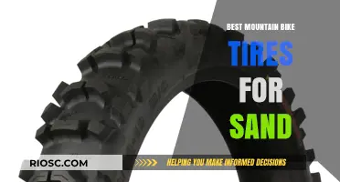 Sand-Ready Performance: Top Mountain Bike Tires for Smooth Riding on Sandy Trails