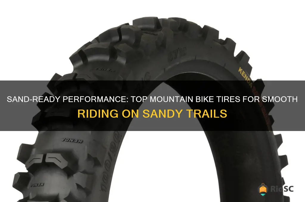 best mountain bike tires for sand