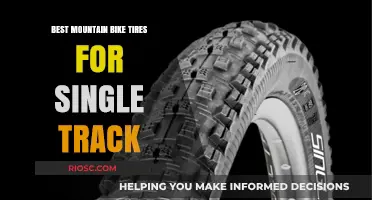 Top Mountain Bike Tires for Single Track: Enhance Your Trail Riding Experience