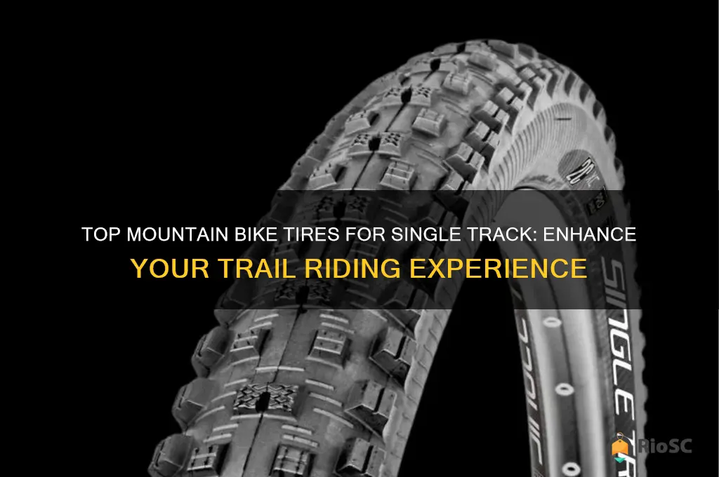 best mountain bike tires for single track