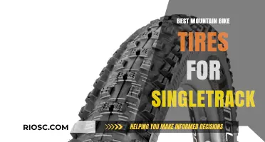 Top Mountain Bike Tires for Singletrack: Grip, Speed, and Durability for the Ultimate Trail Experience