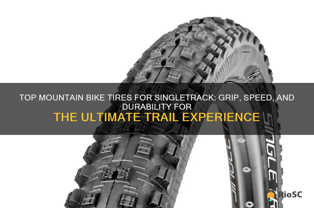 best mountain bike tires for singletrack