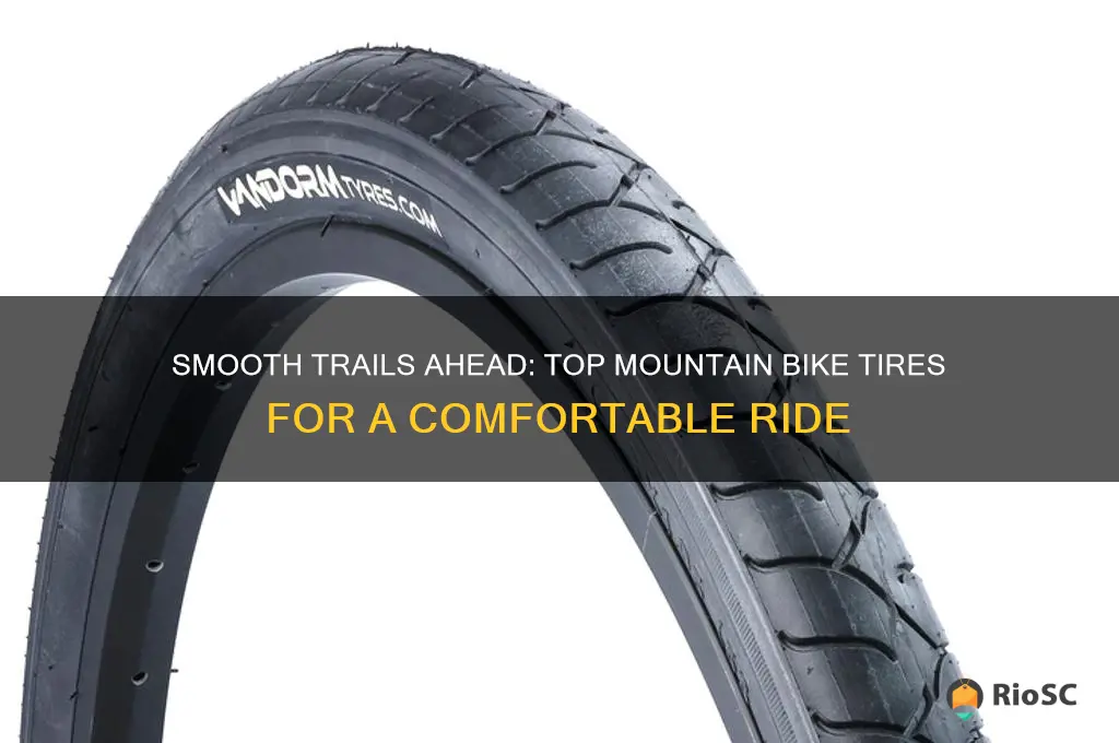 best mountain bike tires for smooth ride