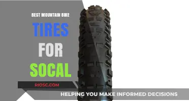 Top Mountain Bike Tires for Southern California's Diverse Terrain