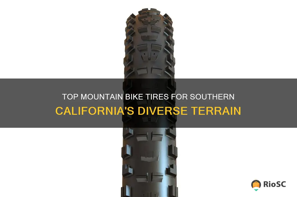 best mountain bike tires for socal