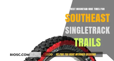 Top Mountain Bike Tires for Southeast Singletrack: Grip, Durability, and Speed for Your Trail Adventures