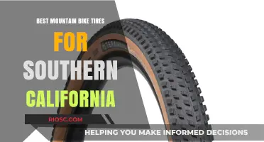 Top Mountain Bike Tires for Southern California's Diverse Terrain and Weather Conditions