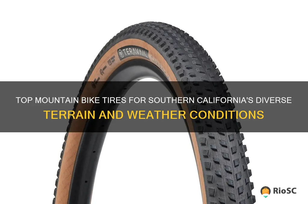 best mountain bike tires for southern california
