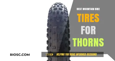 Thorn-Proof and Trail-Ready: Top Mountain Bike Tires to Conquer Thorny Terrain