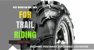 Top Mountain Bike Tires for Trail Riding: Enhance Your Adventure with Optimal Grip and Durability