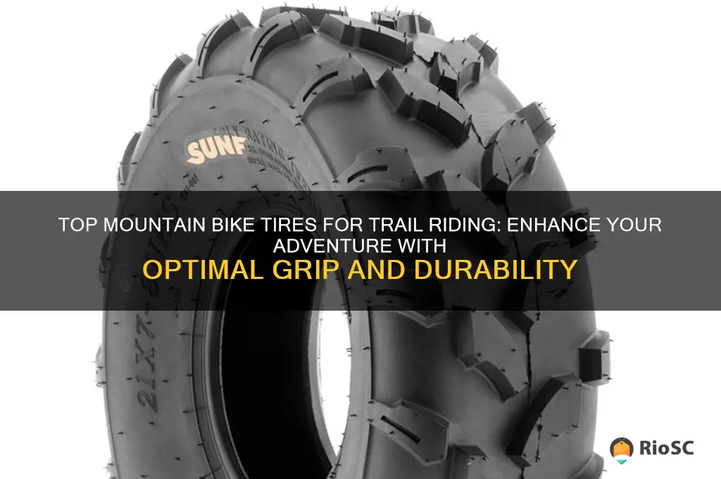 best mountain bike tires for trail riding