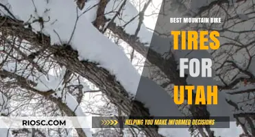Top Mountain Bike Tires for Utah's Diverse Terrain: Grip, Durability, and Performance