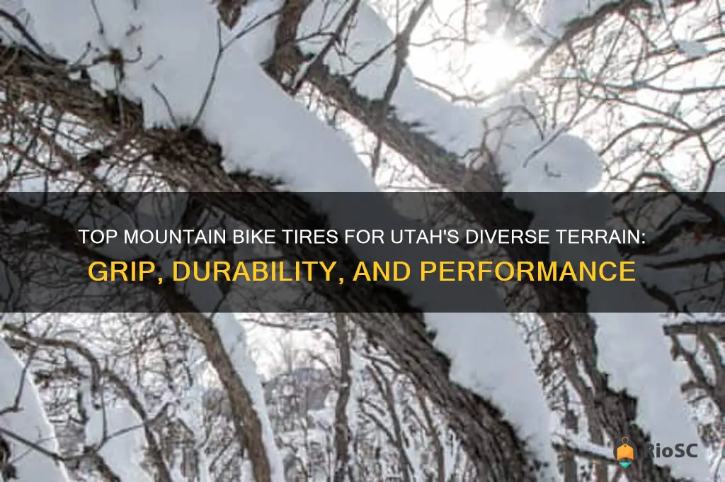best mountain bike tires for utah