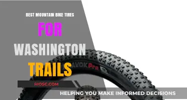 Top Mountain Bike Tires for Tackling Washington’s Diverse Trails