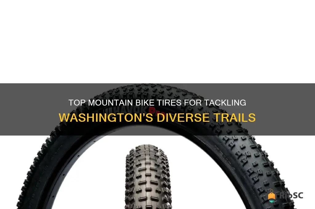best mountain bike tires for washington trails