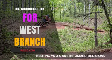 Top Mountain Bike Tires for West Branch Trails: Enhance Your Ride on Rocky and Root-Filled Terrain